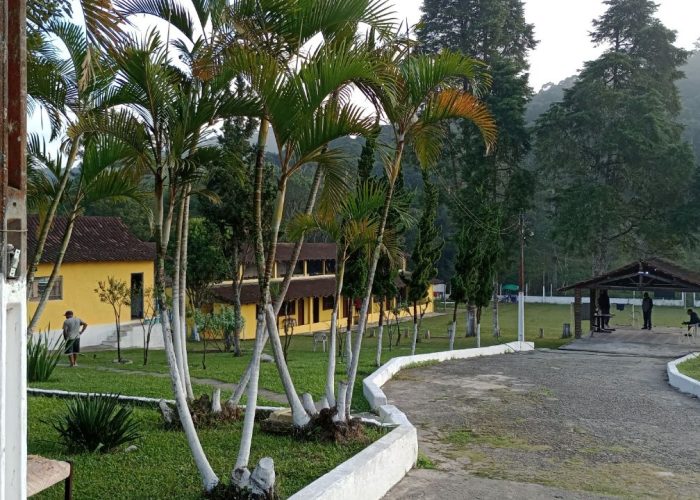 Grupo Desafiando Gigantes 2