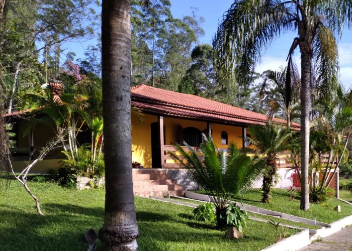 Grupo Desafiando Gigantes 24