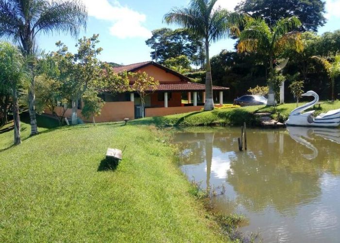 Grupo Desafiando Gigantes 27