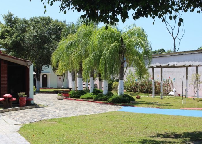 Grupo Desafiando Gigantes 43