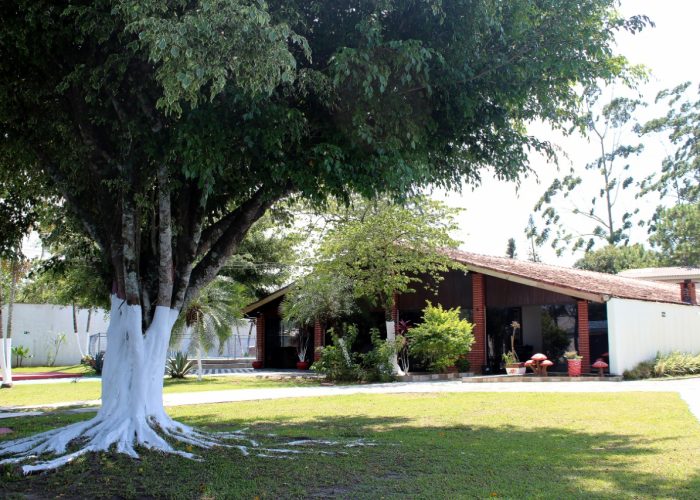 Grupo Desafiando Gigantes 44