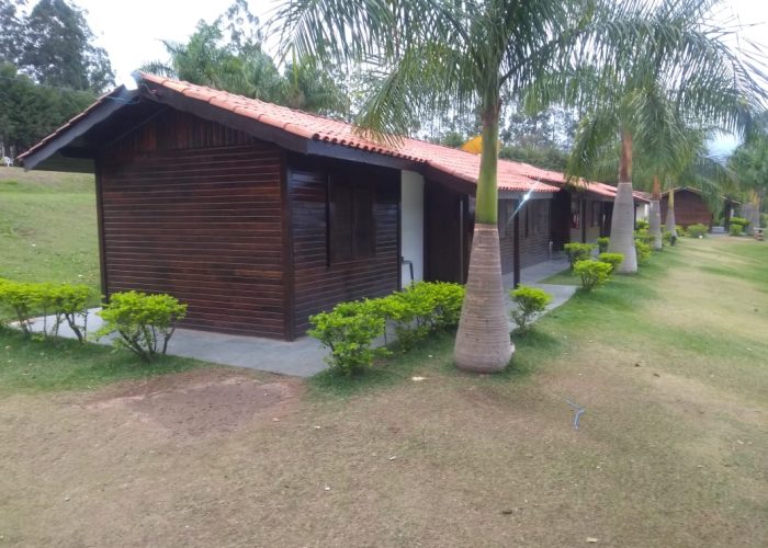 Grupo Desafiando Gigantes 47