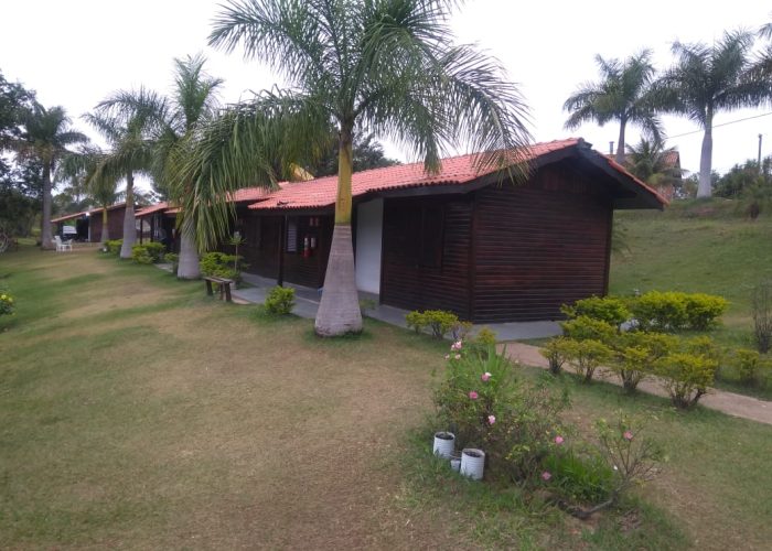 Grupo Desafiando Gigantes 50