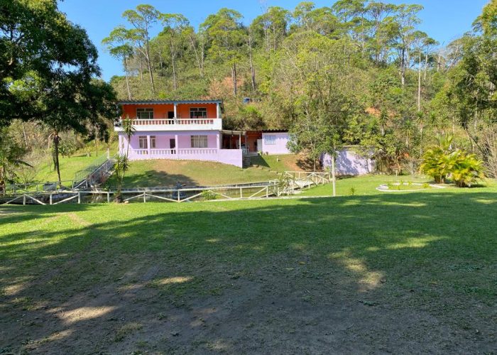 Grupo Desafiando Gigantes 58