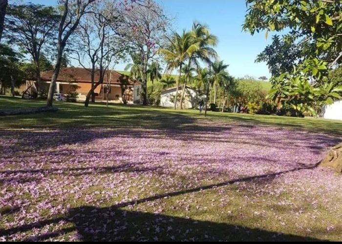 Grupo Desafiando Gigantes 62